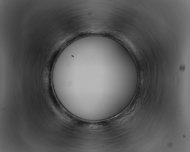 X0000101950542200807171135