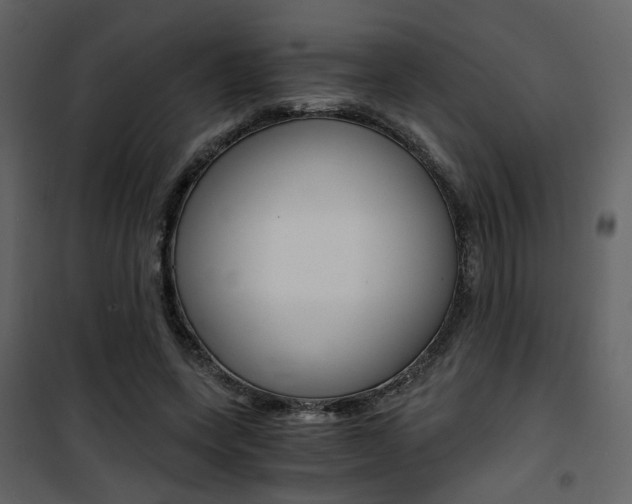 X0000101950543200807171135