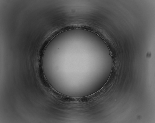X0000101950544200807171135