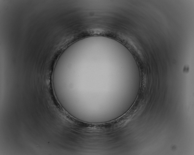 X0000101950545200807171135