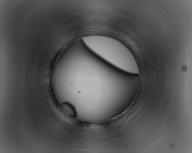 X0000101950546200807171135