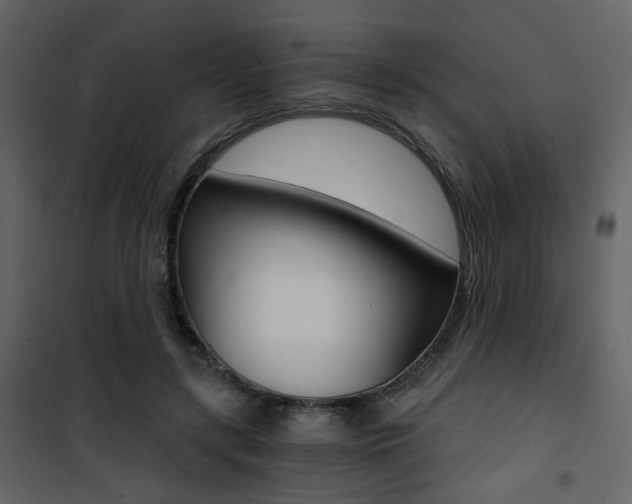 X0000101950547200807171135