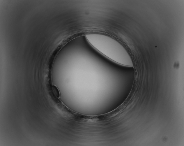 X0000101950548200807171135