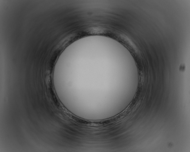X0000101950549200807171135