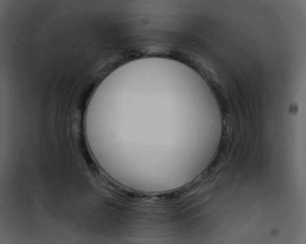 X0000101950550200807171135