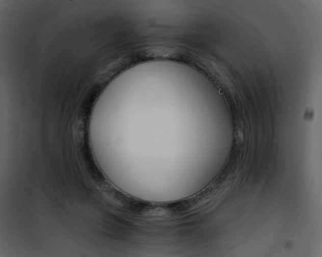 X0000101950551200807171135