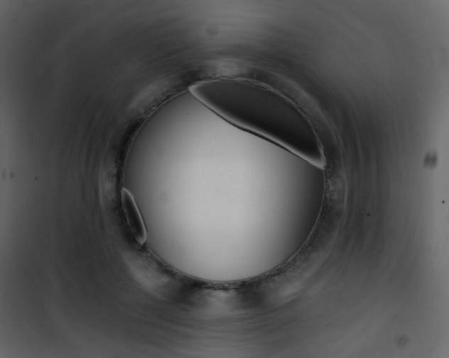 X0000101950552200807171135