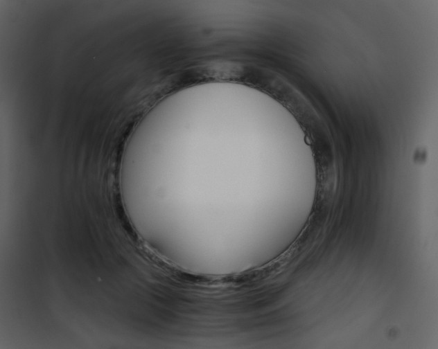 X0000101950553200807171135
