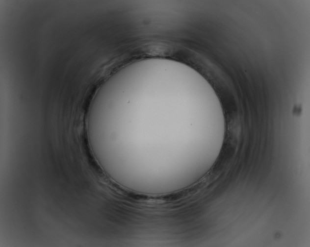 X0000101950554200807171135