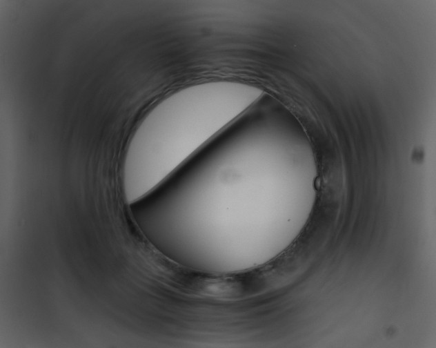 X0000101950555200807171135