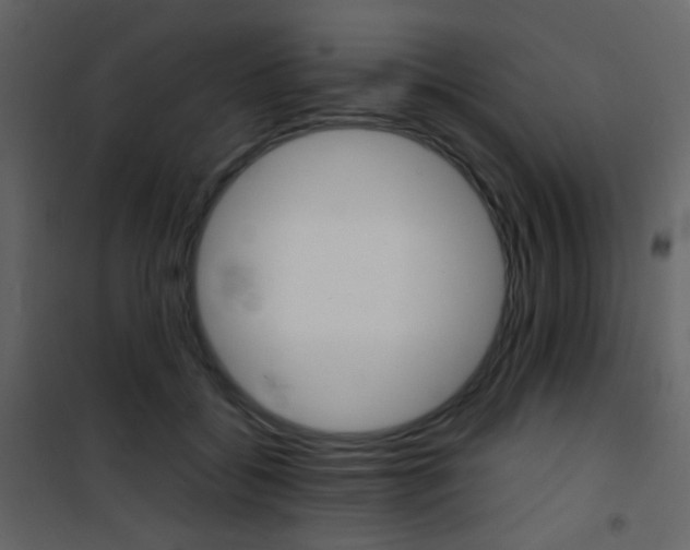 X0000101950556200807171135