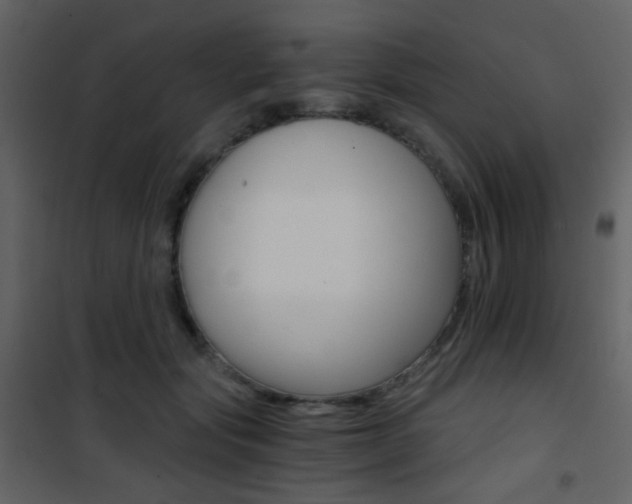 X0000101950557200807171135