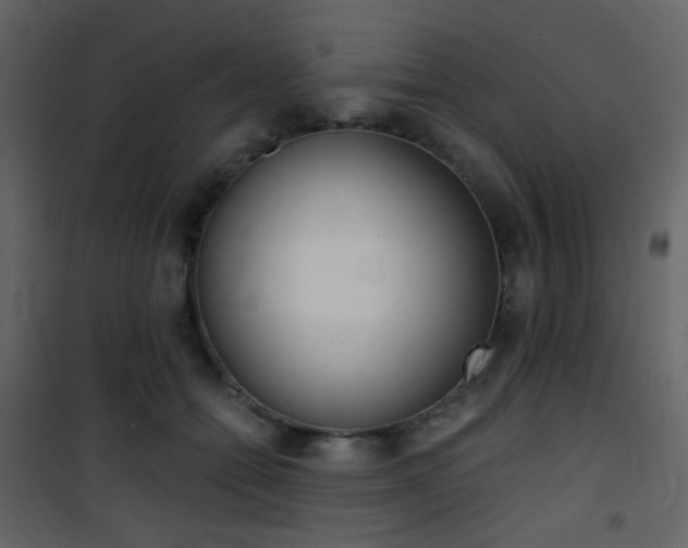 X0000101950558200807171135
