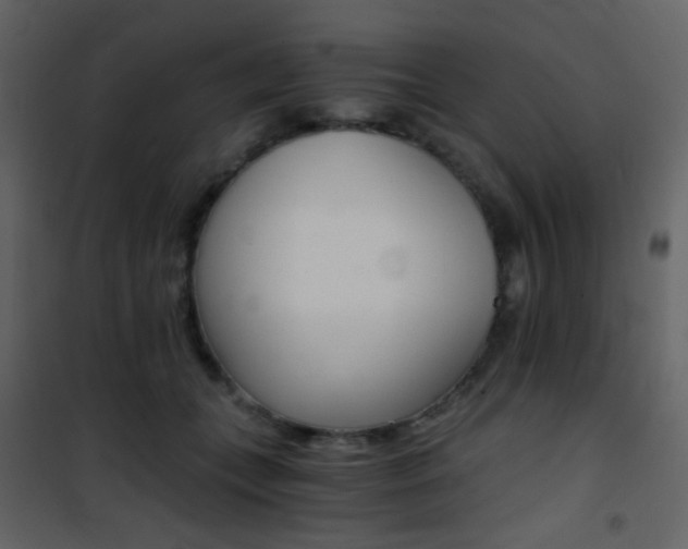 X0000101950559200807171135