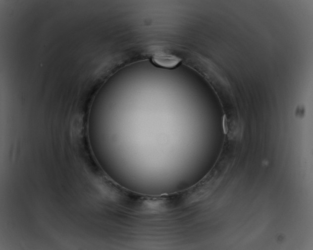 X0000101950560200807171135