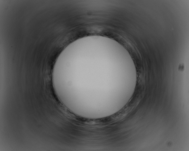 X0000101950561200807171136