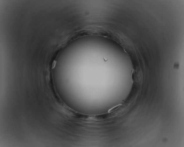 X0000101950562200807171136