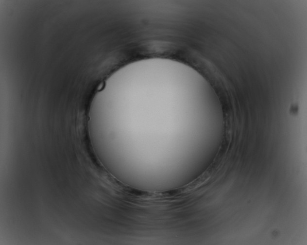 X0000101950563200807171136