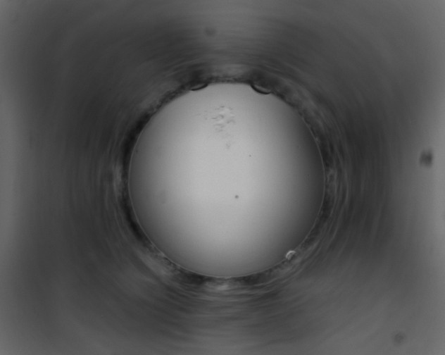 X0000101950564200807171136