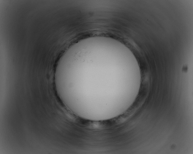 X0000101950565200807171136