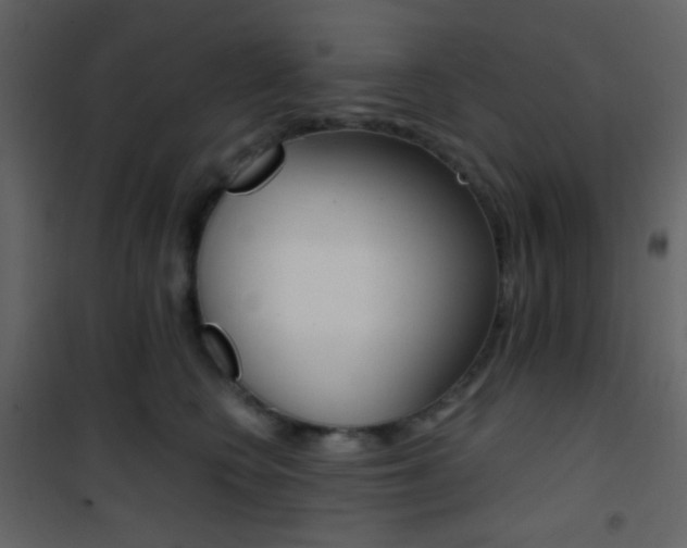 X0000101950566200807171136