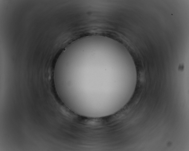 X0000101950567200807171136