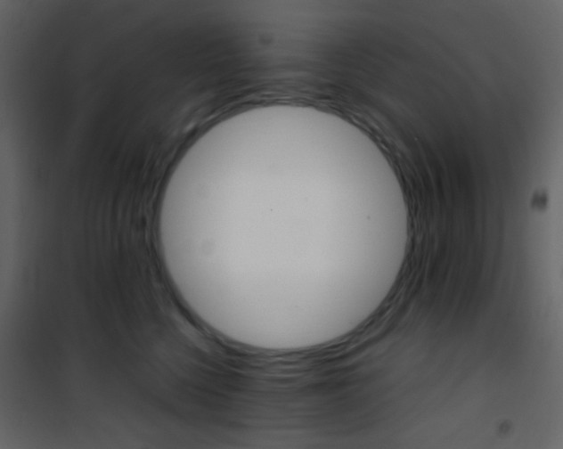X0000101950568200807171136