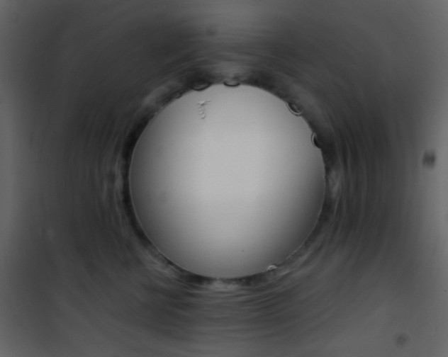 X0000101950570200807171136