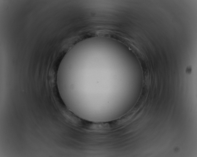 X0000101950571200807171136