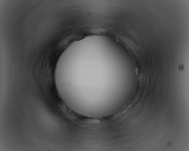 X0000101950572200807171136