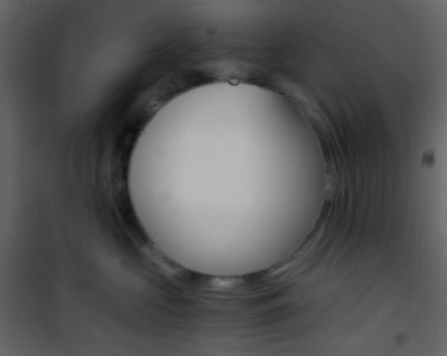 X0000101950573200807171136