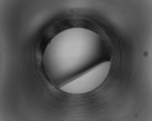 X0000101950574200807171136