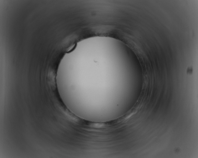 X0000101950575200807171136