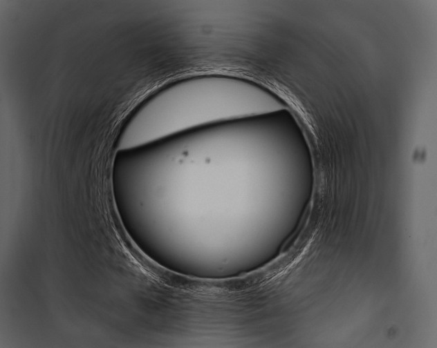 X0000101950577200807171135