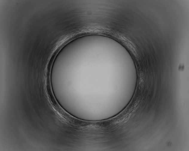 X0000101950578200807171135