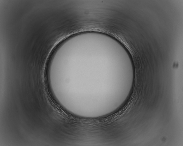 X0000101950579200807171135