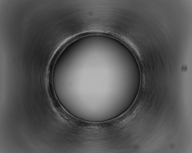 X0000101950580200807171135