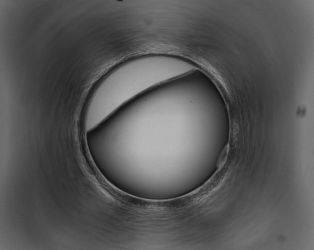 X0000101950581200807171135