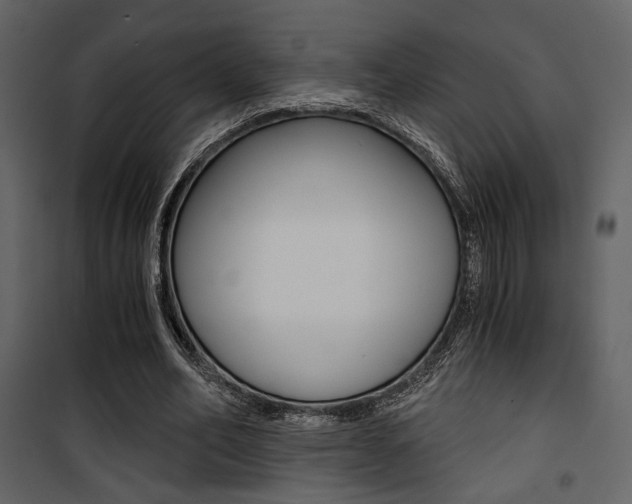 X0000101950582200807171135