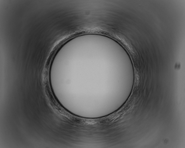 X0000101950583200807171135