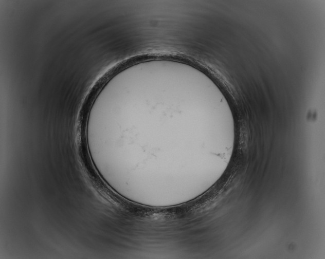 X0000101950584200807171135