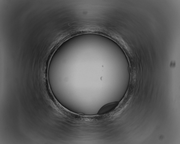 X0000101950585200807171135