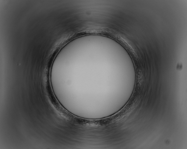 X0000101950586200807171135