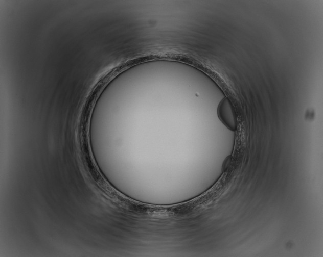 X0000101950587200807171135