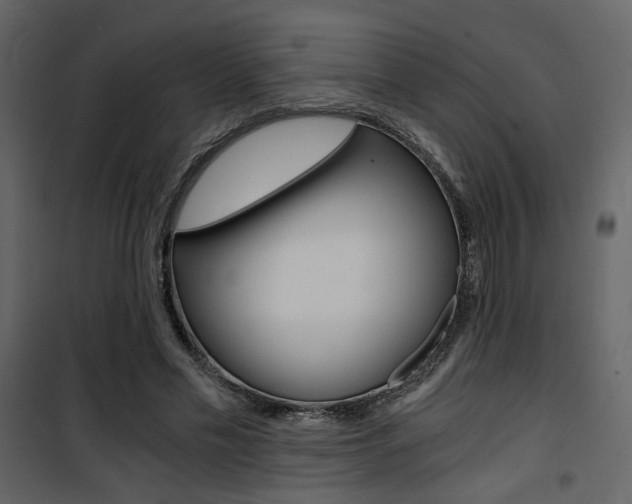 X0000101950589200807171135