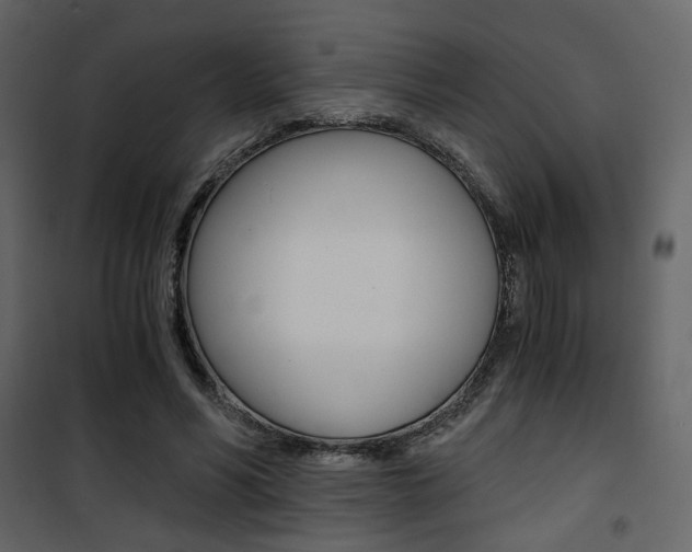 X0000101950590200807171135