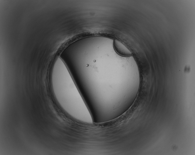 X0000101950592200807171135