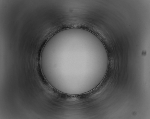 X0000101950594200807171135