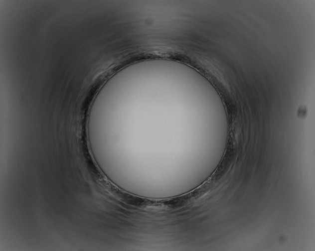 X0000101950595200807171135