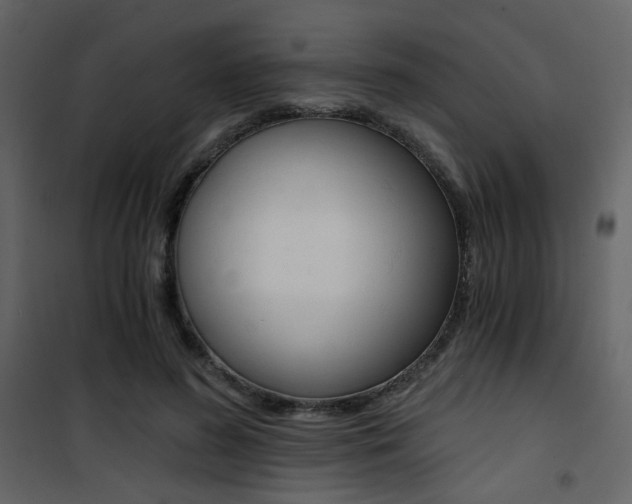 X0000101950596200807171135
